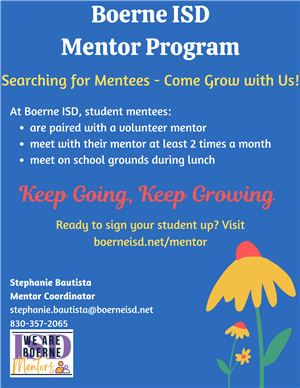 mentee flyer